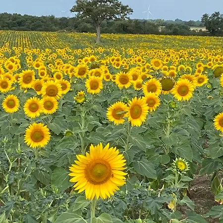 La Maison Du Parloir 펜션 Queaux